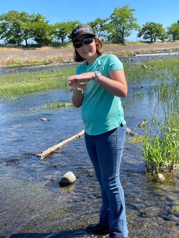 A person holding a small fish while standing in a shallow river on a sunny day.