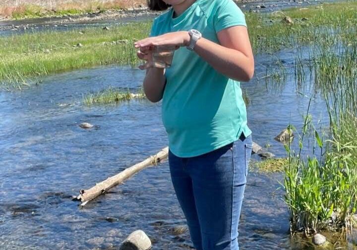 A person holding a small fish while standing in a shallow river on a sunny day.